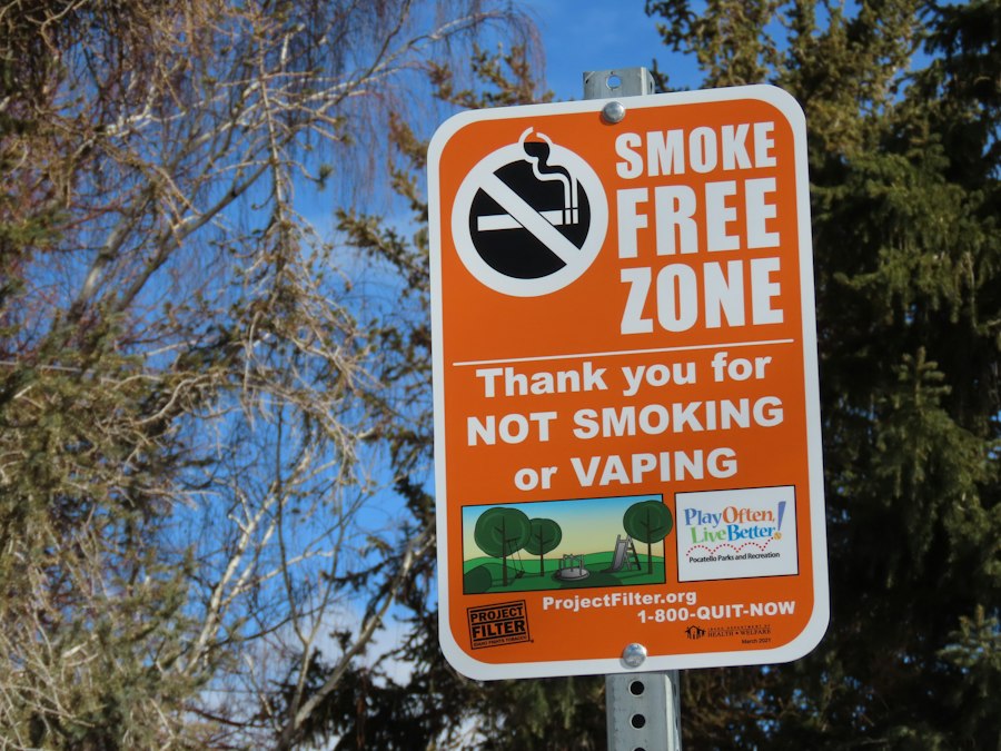 disposable vape